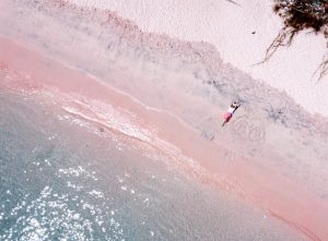 DCIM100MEDIADJI 0753.JPG