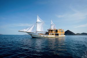 Barakati cruise header