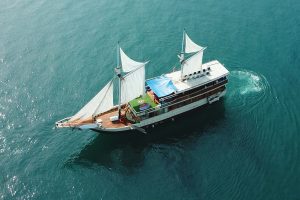 DCIM100MEDIADJI 0133.JPG