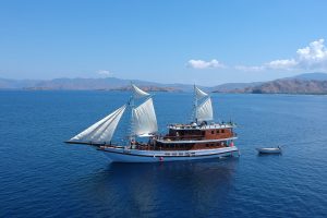 DCIM/102MEDIA/DJI 1587.JPG